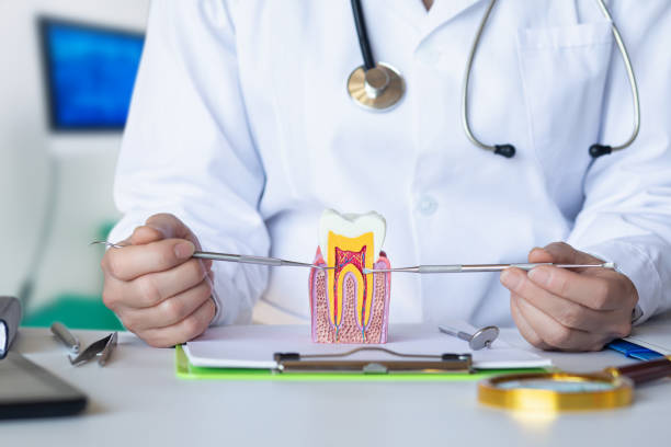 Best Emergency Care for Gum Disease in East Moline, IL